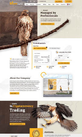 goldcoders hyip template